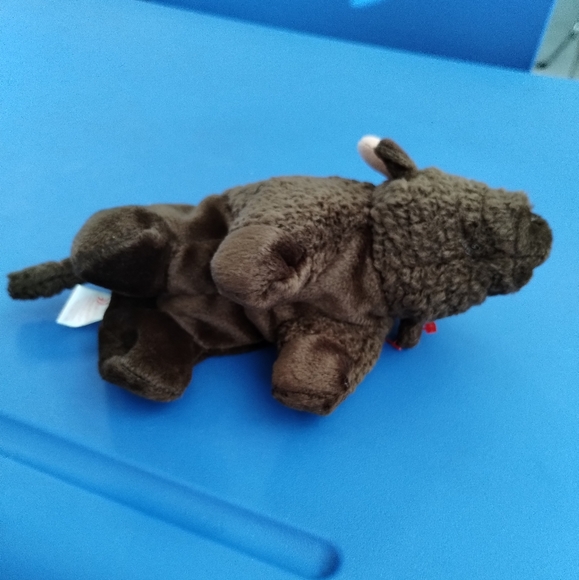 ✓TY Beanie Babies - Roam the Buffalo - Picture 7 of 13